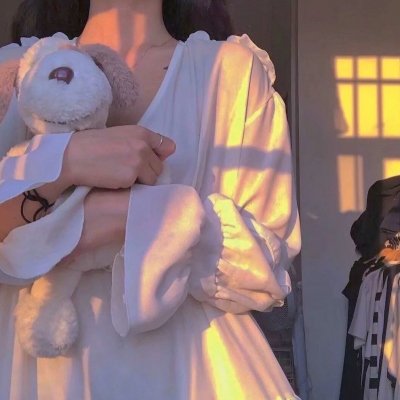 热诚传说：导师的黎明