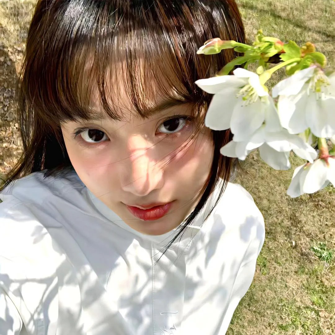 我的刺猬女孩